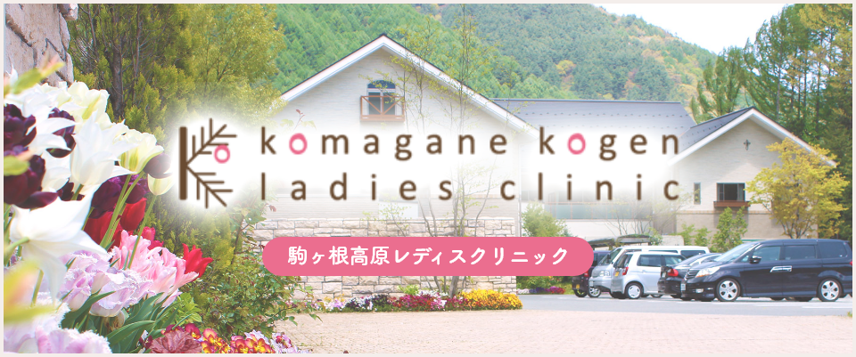 駒ヶ根エリアの産婦人科クリニックの画像