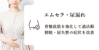 エムセラ・尿漏れ