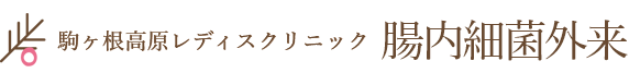駒ヶ根高原レディスクリニック腸内細菌外来