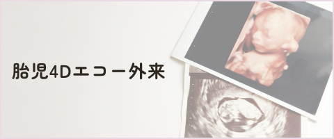 4dエコー