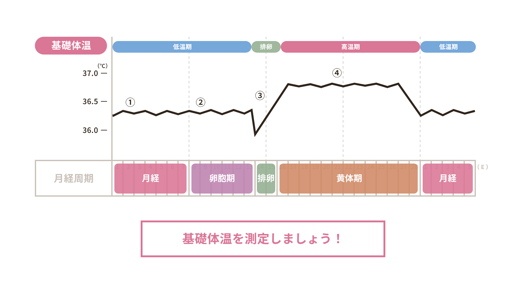 不妊症検査についての画像